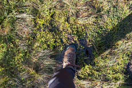 Meindl Kansas GTX boots review 