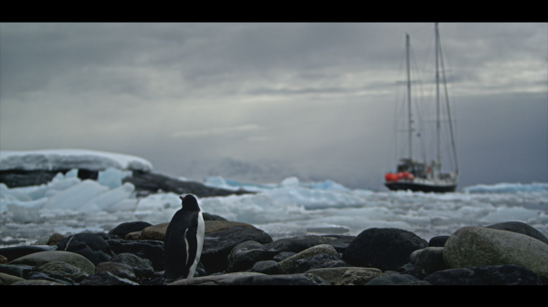 Mission Antarctic presented by Relentless Energy 3 - Adventure 52 magazine