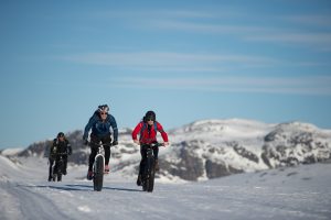 IGO Adventures' N60 Challenge 2016 - fat biking. (3)