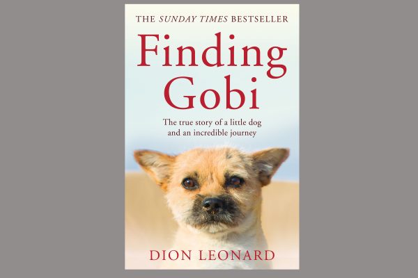 finding gobi by dion leonard